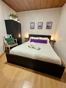 Europa premium في سييرا نيفادا: غرفة نوم مع سرير كبير مع وسائد أرجوانية وأخضر