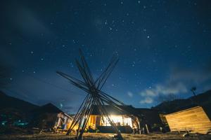 Senzuゆる宿Voketto的前场上一棵棕榈树的星空之夜