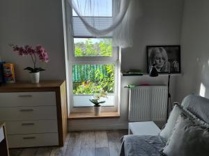1 dormitorio con 1 cama y una ventana con flores en Apartament Bema II en Biała Podlaska