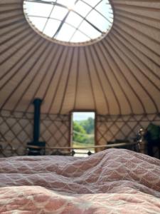 a bedroom with a bed in a yurt with a window at Bracken Yurt at Walnut Farm Glamping in Netherbury
