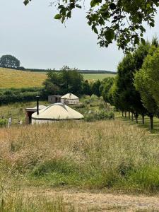 a field with a tent in the middle of a field at Bracken Yurt at Walnut Farm Glamping in Netherbury