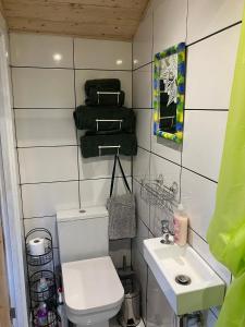 a bathroom with a toilet and a sink and towels at 1 Bed converted Railway Wagon near Crickhowell in Crickhowell
