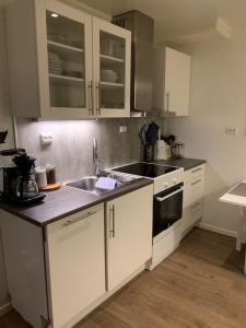 Kuchyň nebo kuchyňský kout v ubytování Gimle cozy apartment