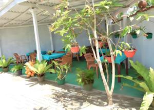 Taman di luar Traveller's Hostel Hikkaduwa