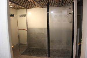 a shower in a room with a glass door at La maison de la Place in Chooz