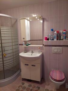 a bathroom with a sink and a shower and a toilet at Misevici vikendica in Sarajevo +17 photos
