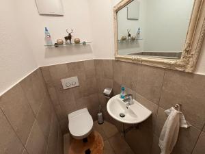 W łazience znajduje się toaleta, umywalka i lustro. w obiekcie Haus Widauer w mieście Breitenbach am Inn