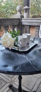 ヴルシャツにあるKuća Rustikaの二杯のテーブルと植物