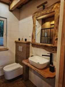 a bathroom with a white sink and a toilet at Kryjówka Yetiego Domek w zaciszu Bieszczad z jacuzzi in Hoczew