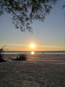 Φωτογραφία από το άλμπουμ του Jungle Room σε Michamvi