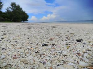 Φωτογραφία από το άλμπουμ του Jungle Room σε Michamvi