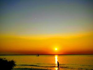 Φωτογραφία από το άλμπουμ του Jungle Room σε Michamvi +37 φωτογραφίες