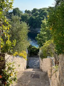 an alley way with trees and a lake in the background at Garden Apartment in Selca