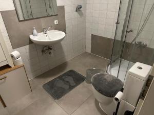 Vannituba majutusasutuses Wohnung in Sankt Englmar Nr 415