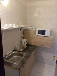 a small kitchen with a sink and a microwave at Retro Hotel Villa Ostrava in Ostrava