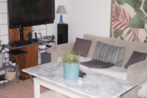 ein Wohnzimmer mit einem Sofa und einem Tisch mit einer Topfpflanze in der Unterkunft Repos en campagne in Pexiora