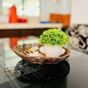 una cesta de mimbre con una planta en una mesa en Palm House, en Puerto Galera