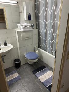 łazienka z toaletą i umywalką w obiekcie Wohnung in Sankt Englmar Nr 512 w mieście Sankt Englmar