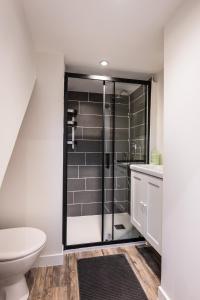 a bathroom with a shower and a toilet at L'Epinette - Gîte de groupe et salle de réception in Allevard