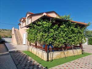 a house with a large plant on the side of it at Villa Verbena in Mala Čista
