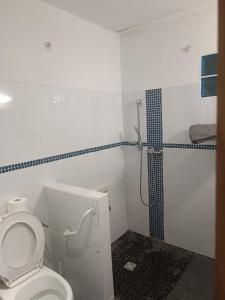 a bathroom with a toilet and a shower at Pension Cargo in Bras-Panon