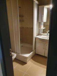 a bathroom with a shower and a toilet and a sink at Şehir Merkezinde Otel Konforunda Family House in Sivas