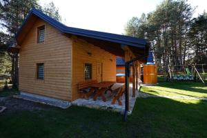 een kleine hut met een picknicktafel ervoor bij Domek Pietryna in Chańcza