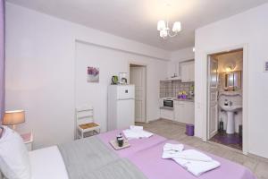 A kitchen or kitchenette at Evaggelia Studios
