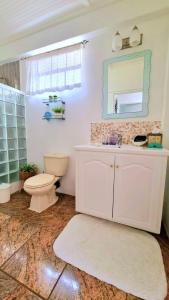ein Badezimmer mit einem WC, einem Waschbecken und einem Spiegel in der Unterkunft The Suite Spot Apartment - Private Paradise Stay in Soufrière