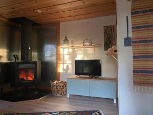 a living room with a television and a fireplace at Stuga Bergvik in Gällö
