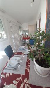 una sala da pranzo con tavolo e pianta in vaso di ꕤ Comfy Home ꕤ - Make yourself at home a Belgrado