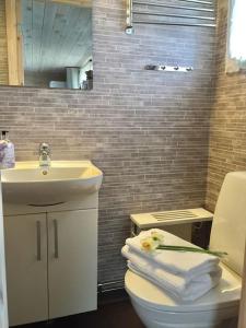 ein Badezimmer mit einem Waschbecken und einem WC mit Handtüchern in der Unterkunft Mitt i vackraste Bohuslän in Lysekil