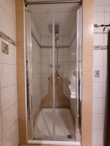 y baño con ducha y puerta de cristal. en Ferienwohnung Hahn Graz (souterrain) en Graz