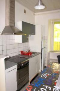 een keuken met een wastafel en een fornuis top oven bij Agréable F3 - RDC (2 chambres) in Mulhouse