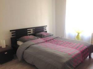 um quarto com uma cama e uma janela em Agréable F3 - RDC (2 chambres) em Mulhouse