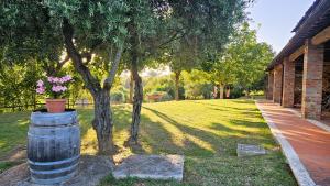 a tree with flowers in a barrel in a yard at Pian della Bandina in Citt&agrave; della Pieve