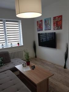 salon z kanapą i stolikiem kawowym w obiekcie Apartament Angelo w mieście Sosnowiec