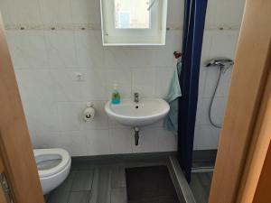 een badkamer met een wastafel en een toilet bij Erdgeschoss Wohnung nahe Flughafen in Wenen