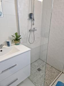 a white bathroom with a shower and a sink at LOGEMENT AZUL à l'ombre du bambou 1 à 3 pers, Réserve Cousteau in Le Gosier