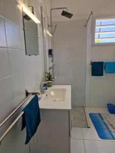 a white bathroom with a sink and a shower at LOGEMENT AZUL à l'ombre du bambou 1 à 3 pers, Réserve Cousteau in Le Gosier