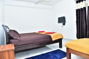 TV a/nebo společenská místnost v ubytování SHREE BALAJI PALACE Homestay