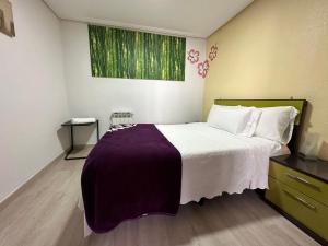 ビトリア・ガステイスにあるApartamento Kalea corazón urbanoのベッドルーム(紫の毛布を使用した大型ベッド1台付)