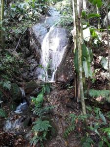 Billede fra billedgalleriet på Cabana em Sao Francisco Xavier com linda vista i São Francisco Xavier