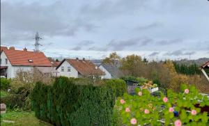 a village with houses and a hedge and flowers at Haus Nummer Vier in Neunkirchen