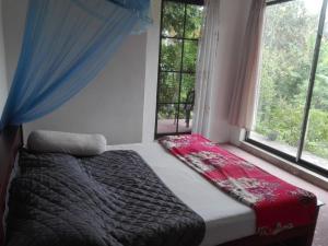 Bett in einem Zimmer mit 2 Fenstern in der Unterkunft Weligama Villa South in Weligama