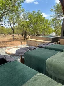 eine Gruppe von drei Betten mit Bäumen im Hintergrund in der Unterkunft Minara Private Boutique Game Lodge in Dinokeng Game Reserve