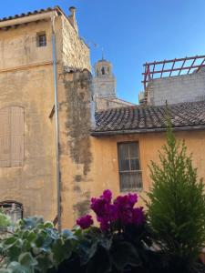 un viejo edificio con flores púrpuras delante de él en Résidence Léonard - Centre historique Arles, en Arles