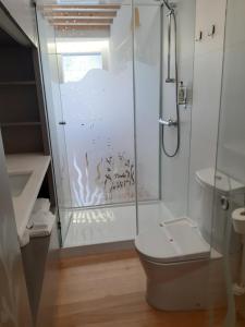a bathroom with a shower with a toilet and a sink at Pensao O Laranjeira in Viana do Castelo