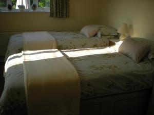two beds in a bedroom with the sun shining on them at Hillside Cottage in Ledbury
