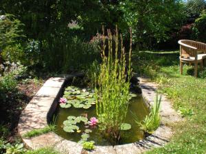 a pond with lilies and a bench in a garden at Hillside Cottage in Ledbury